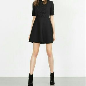 Zara skater dress with ruffle and lace front